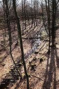 238_DSC6515