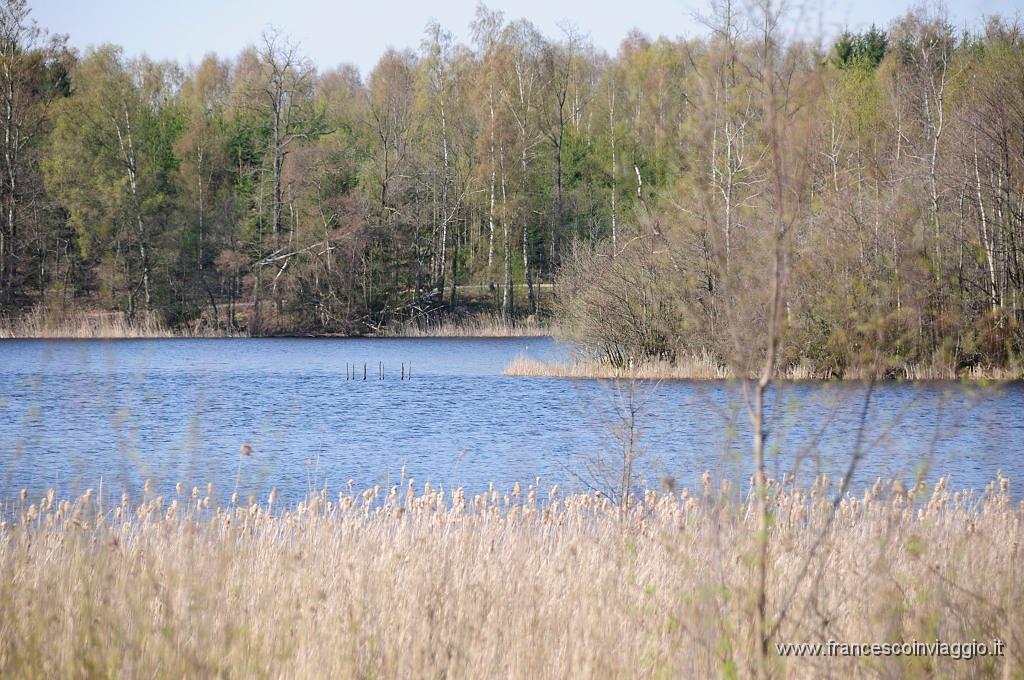 1244_DSC8789.JPG