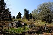 1206_DSC8717