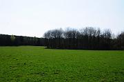 1236_DSC8776
