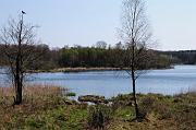 1302_DSC8878