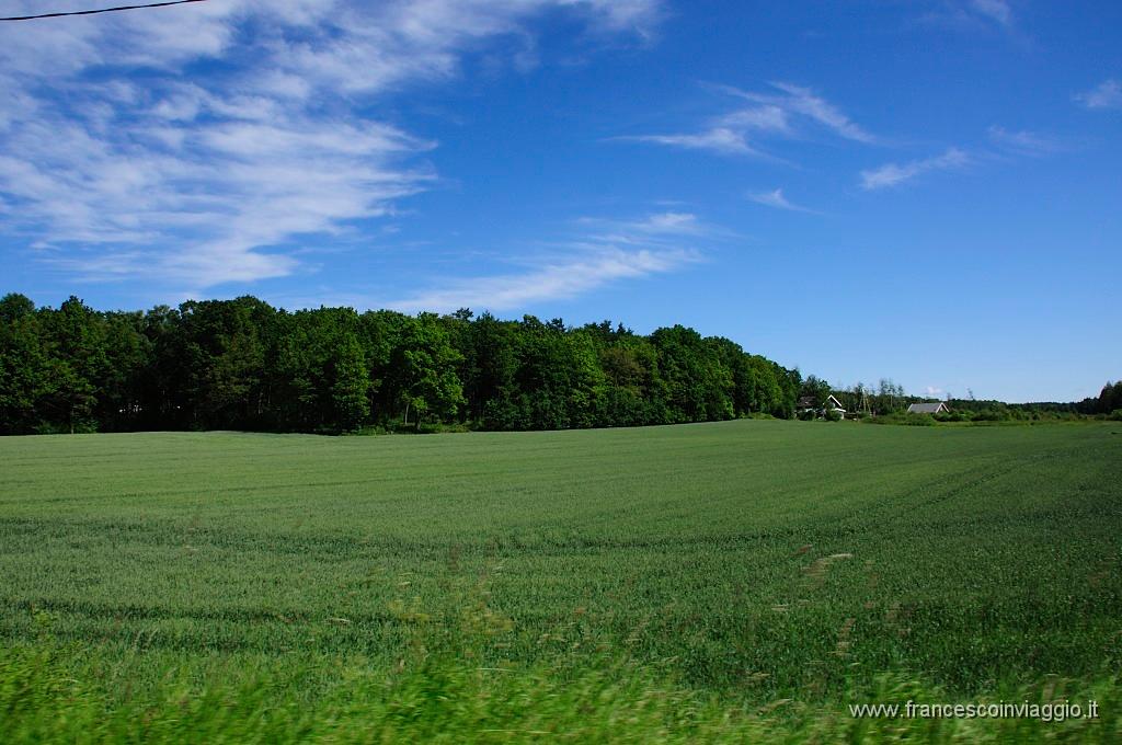 0042_DSC6946.JPG