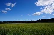 0008_DSC6844