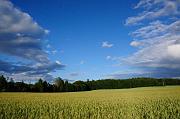 0370_DSC7906