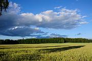 0379_DSC7953