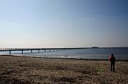 0031_DSC4222