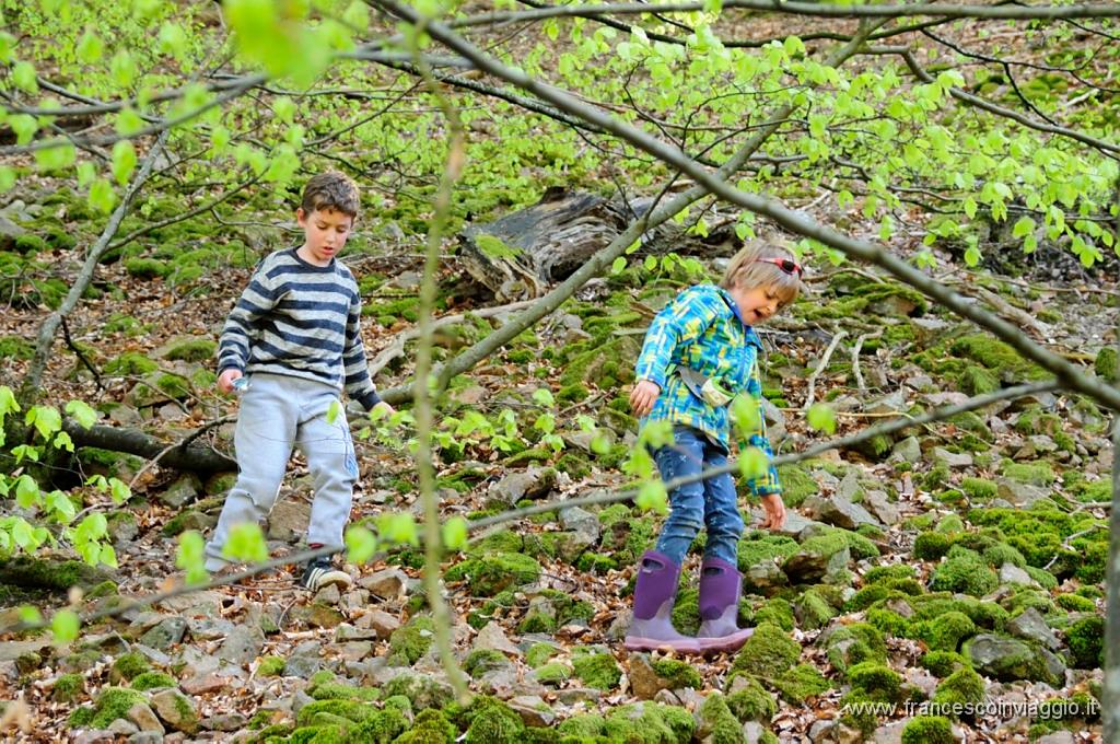 0039_DSC2752.JPG