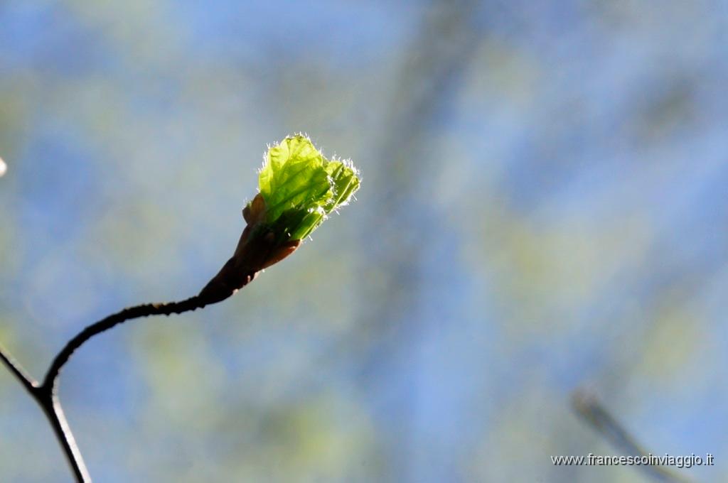 0070_DSC2826.JPG