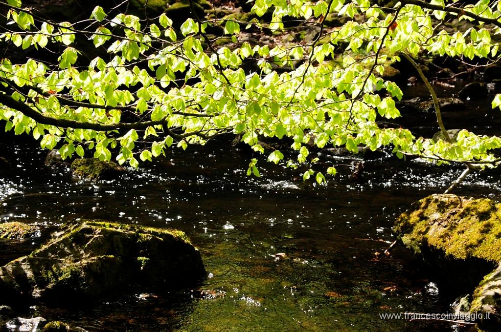 0075_DSC2831.JPG