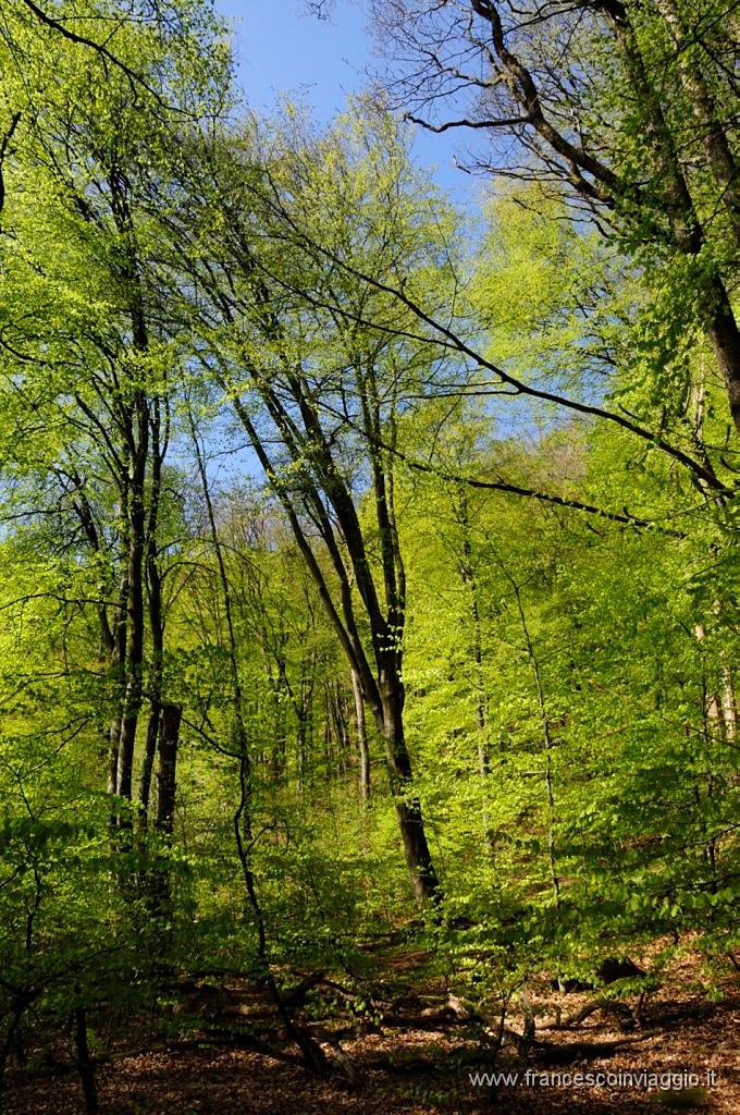 0092_DSC2858.JPG