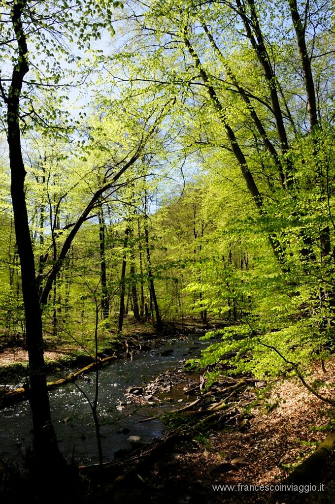 0093_DSC2859.JPG