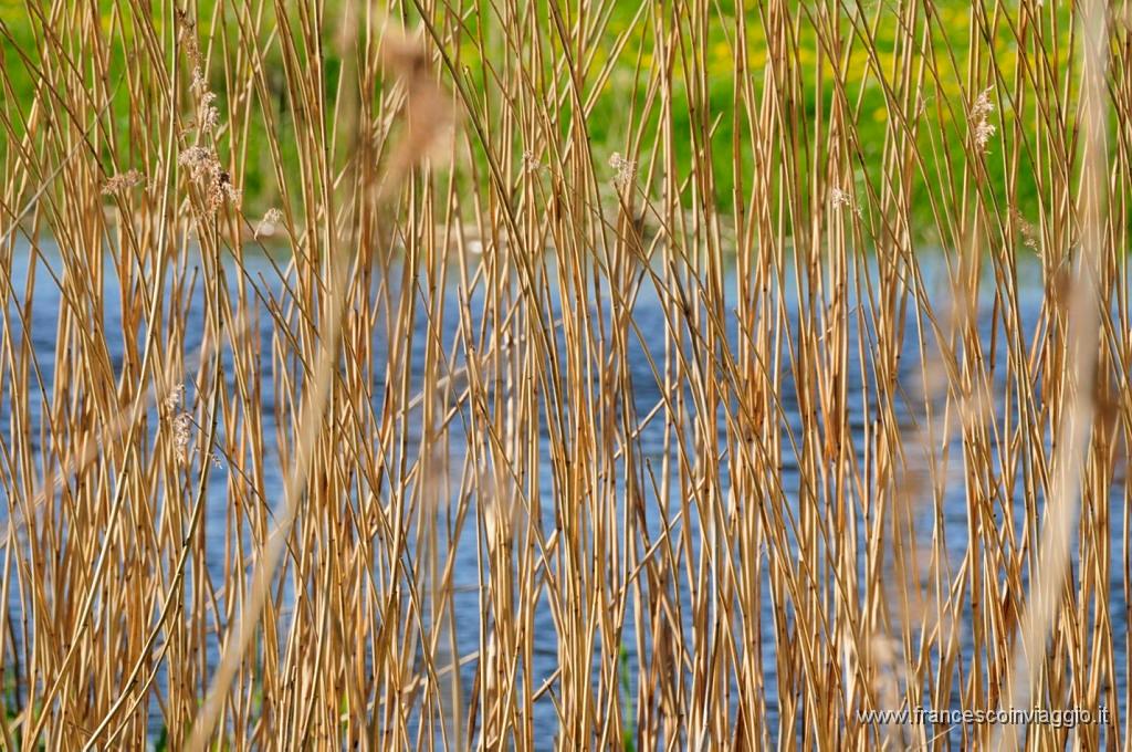 0183_DSC3713.JPG