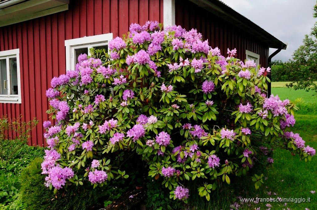 0004_DSC7692.JPG