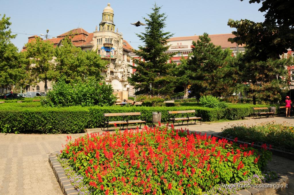 Timisoara201DSC_4597.JPG