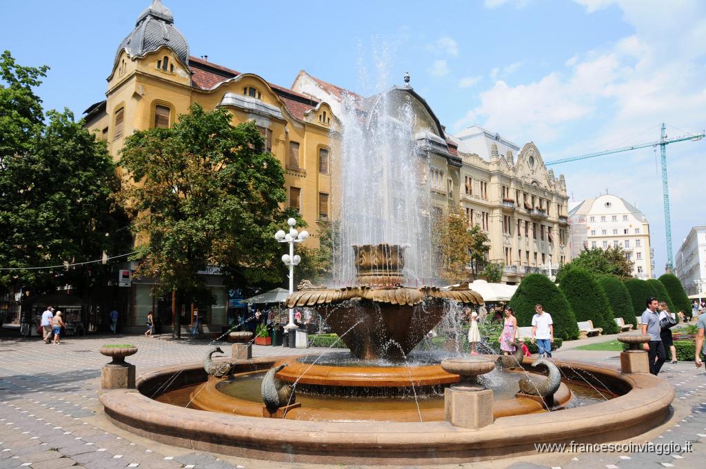 Timisoara227DSC_4628.JPG