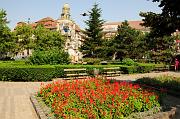 Timisoara201DSC_4597