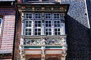 205_DSC5871