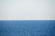 337_DSC6119