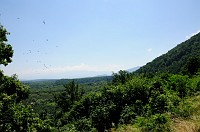 Romania_DSC9181