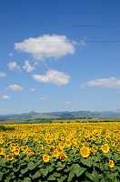 Romania_DSC0074