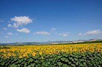 Romania_DSC0077