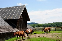 Romania_DSC9096