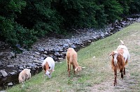Romania_DSC9450