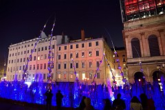 393DSC_1237