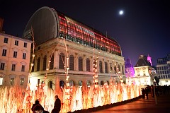 397DSC_1242