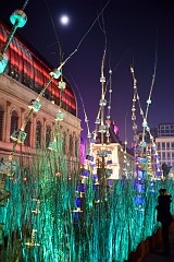 402DSC_1250