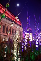403DSC_1251