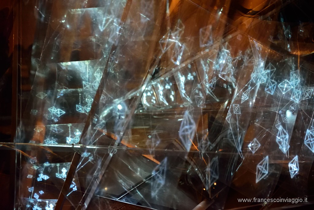 355DSC_1165.JPG
