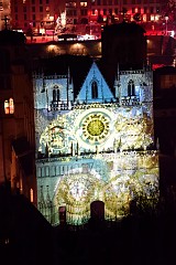 231DSC_0919