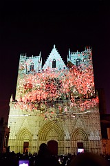 272DSC_1003