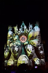 281DSC_1015