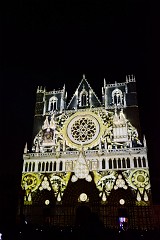 309DSC_1071