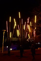 265DSC_0995
