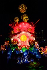 421DSC_1431
