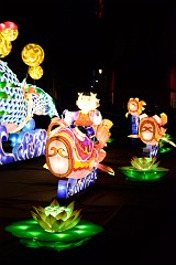 425DSC_1436