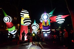 118DSC_0469