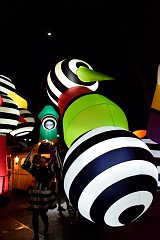 123DSC_0481