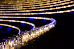 242DSC_0936