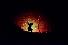 251DSC_0953