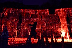 256DSC_0960