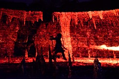257DSC_0961
