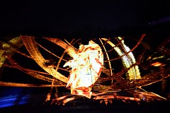 261DSC_0971