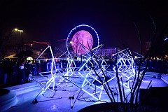 505DSC_1649