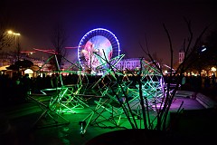 506DSC_1651