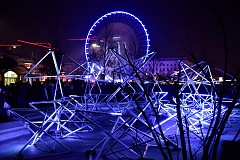 507DSC_1654