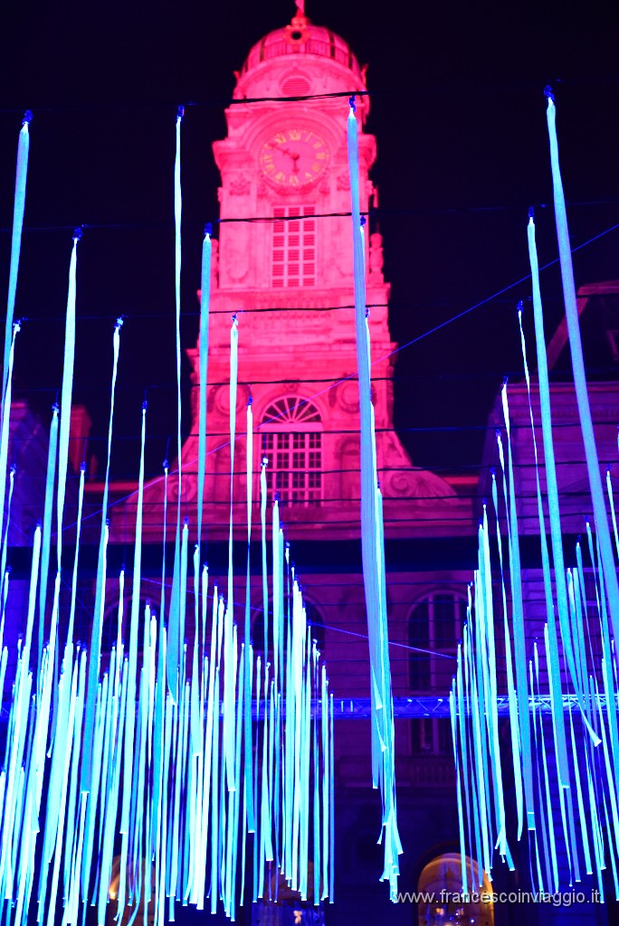 451DSC_1481.JPG